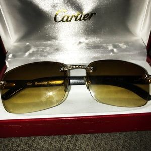 Catier White Buffalo Horns